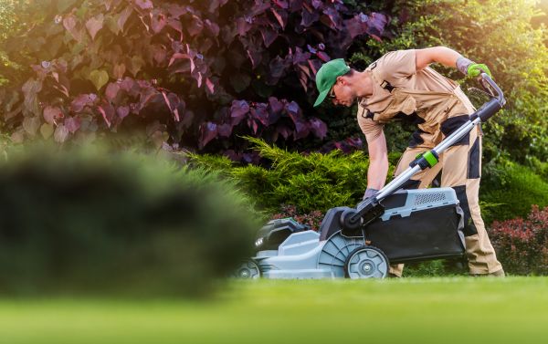 Cost of Lawn Care And Maintenance in Kent