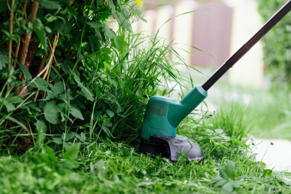 Cost of Weed Whacking in Kent