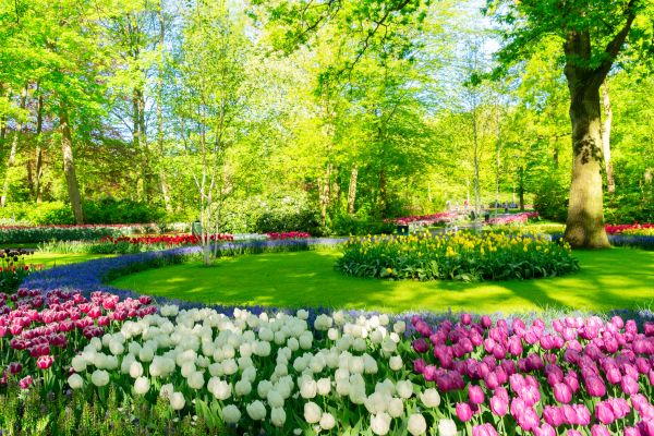 Cost of Spring Lawn Care in Kent