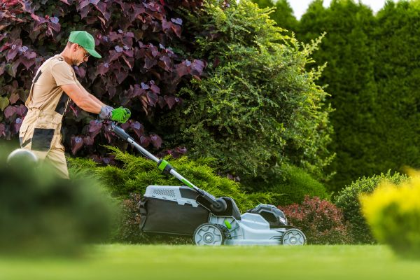 Lawn Management in Kent