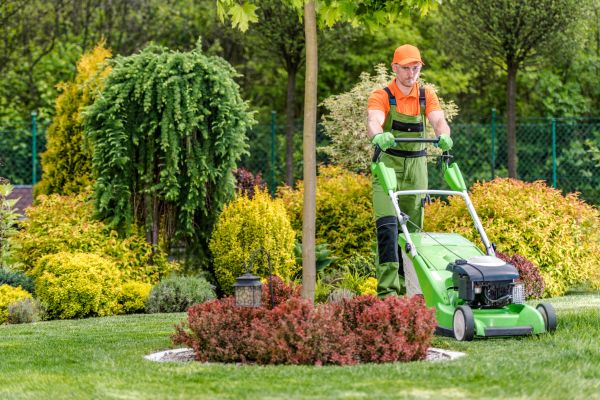 Cost of Commercial Yard Maintenance in Kent