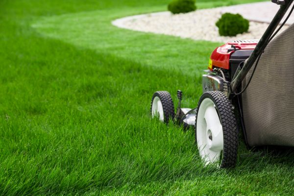 Lawn Trimming in Kent
