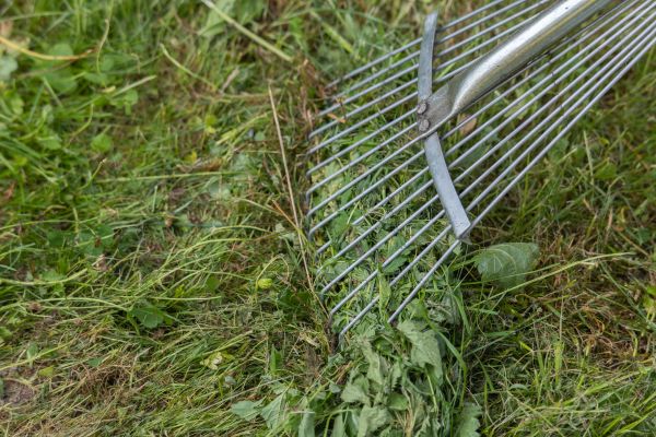 Cost of Thatch Raking in Kent