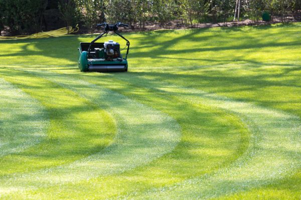 Cost of Business Lawn Mowing in Kent