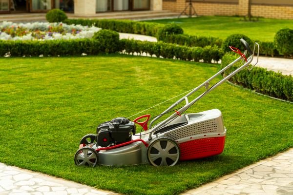 Cost of Business Grass Cutting in Kent