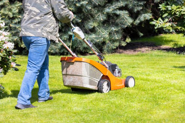 Cost of Springtime Lawn Care in Kent