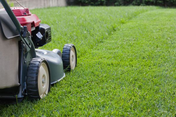 Cost of Spring Lawn Maintenance in Kent