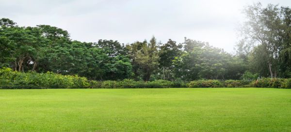Cost of Golf Course Mowing in Kent
