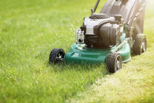 Cost of Spring Grass Trimming in Kent