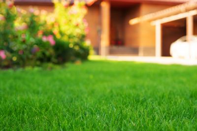 Business Lawn Maintenance