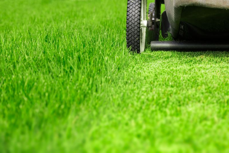 Close-up of Mown Grass