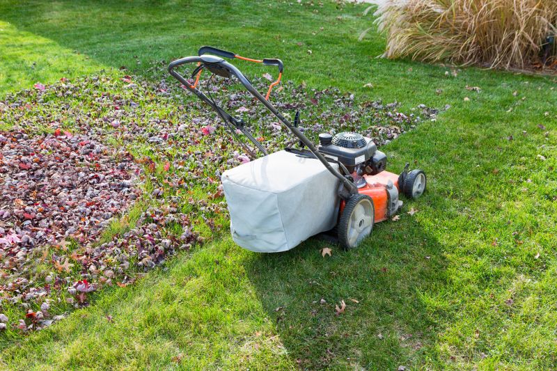 Seasonal Lawn Service Providers